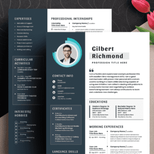 Best Resume design - Premium