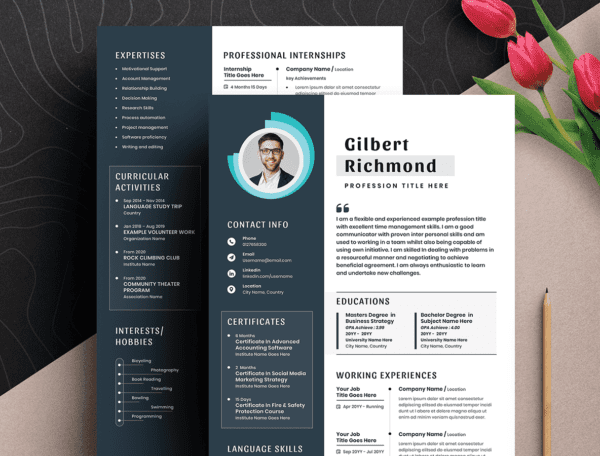 Best Resume design - Premium